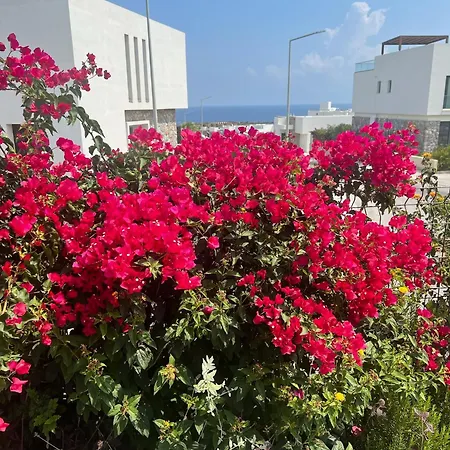 Dejablue Twin Blue, Esentepe, North Cyprus Apartman