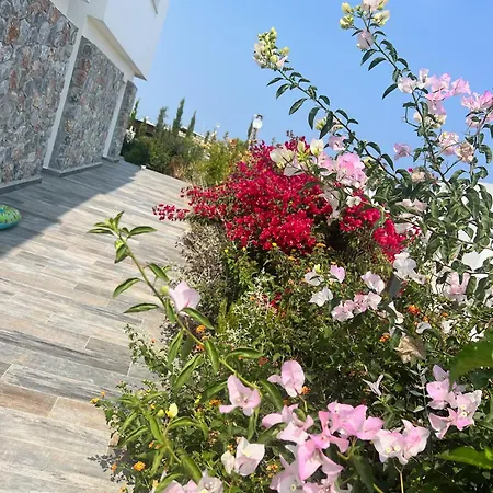 Apartman Dejablue Twin Blue, Esentepe, North Cyprus