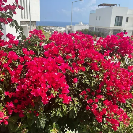 Dejablue Twin Blue, Esentepe, North Cyprus Apartman *